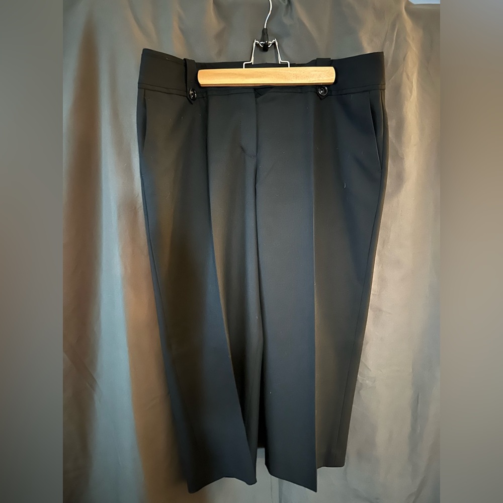 Ann Taylor Lindsay Capri Size 12